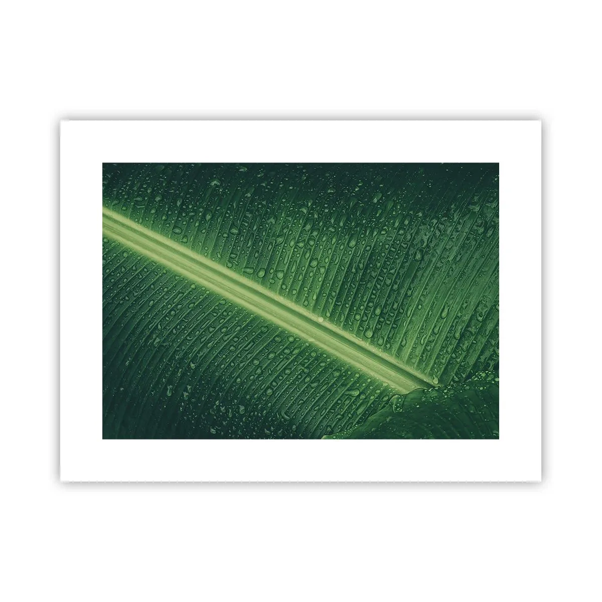 Póster - Estructura del verde - 40x30 cm