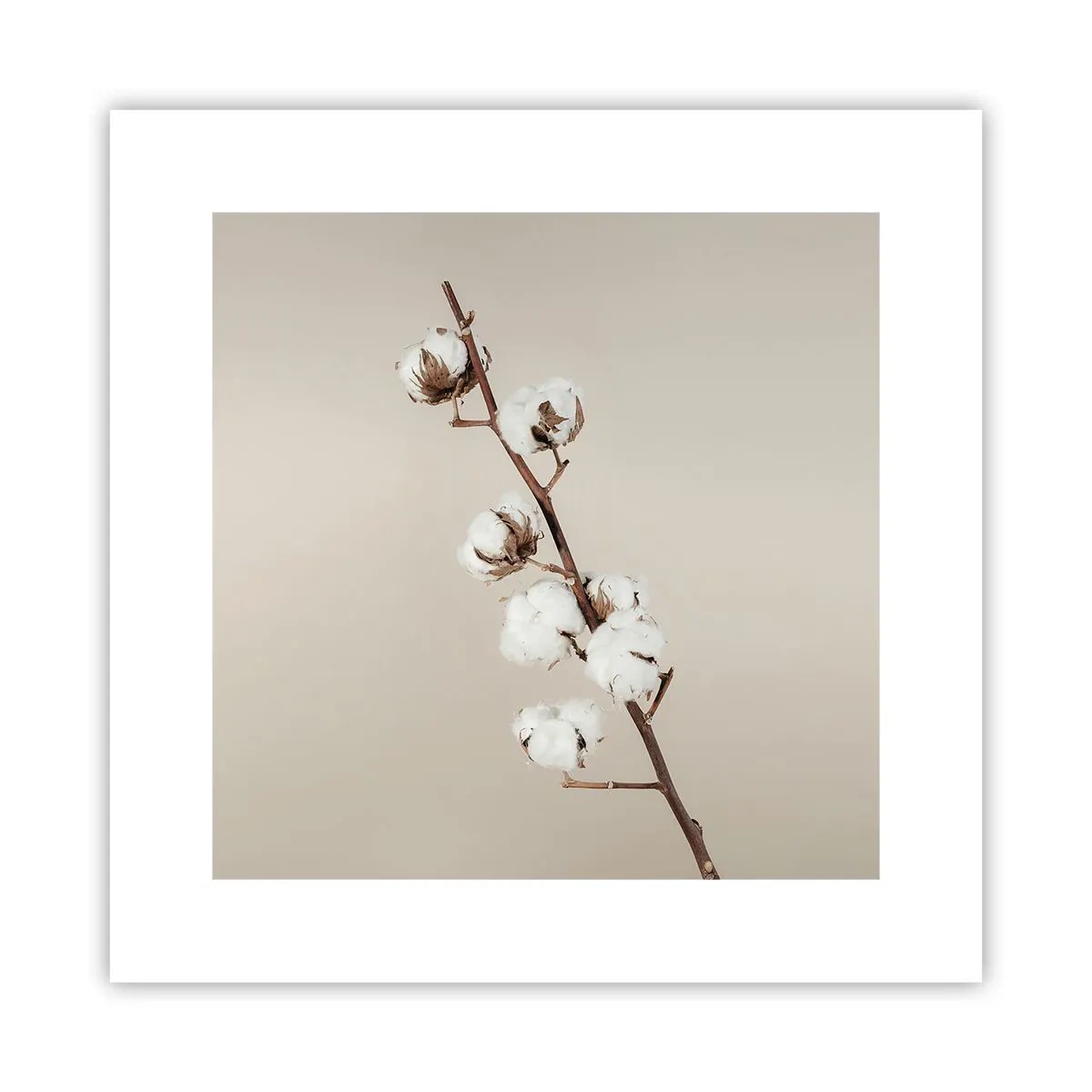 Póster - En la fuente de la suavidad - 30x30 cm