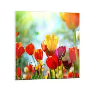 Cuadro sobre vidrio - Impresiones sobre Vidrio - Todos los tonos del sol - 60x60 cm