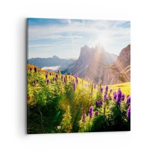 Cuadro sobre lienzo - Impresión de Imagen - La vida secreta de las hierbas - 70x70 cm