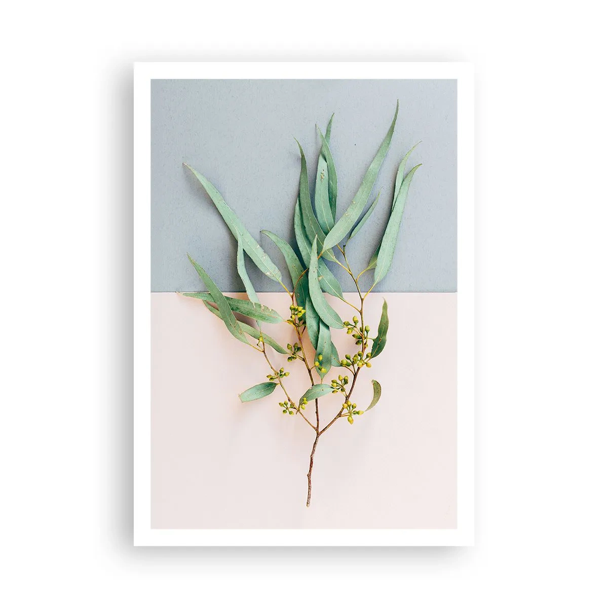 Póster - La sutileza del pastel - 70x100 cm