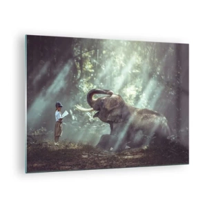 Cuadro sobre vidrio - Impresiones sobre Vidrio - Un niño con un libro y un elefante en un entorno forestal. - 70x50cm - Y escucha esto... - Decoración de pared moderna para salón y dormitorio ARTTOR