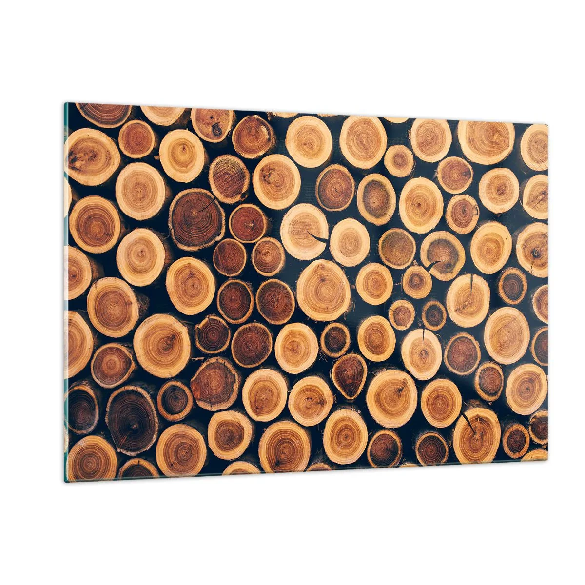 Cuadro sobre vidrio - Impresiones sobre Vidrio - Vista de troncos de árboles cortados dispuestos en fila - 120x80cm - ¿Qué edad tengo? - Decoración de pared moderna para salón y dormitorio ARTTOR