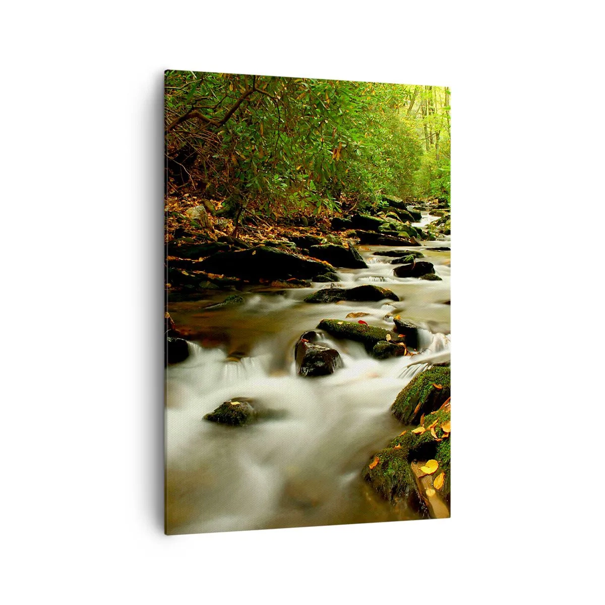 Cuadro sobre lienzo - Impresión de Imagen - Un arroyo forestal que fluye entre piedras rodeadas de vegetación. - 70x100cm - Como plata líquida - Decoración de pared moderna para salón y dormitorio ARTTOR