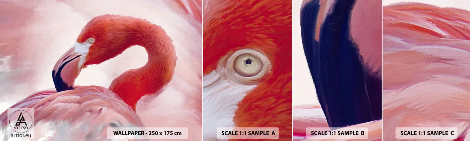 Muestra De Fotomural Standard Eco - La belleza de las aves - Flamenco, Pájaro, Naturaleza - 100x30 cm