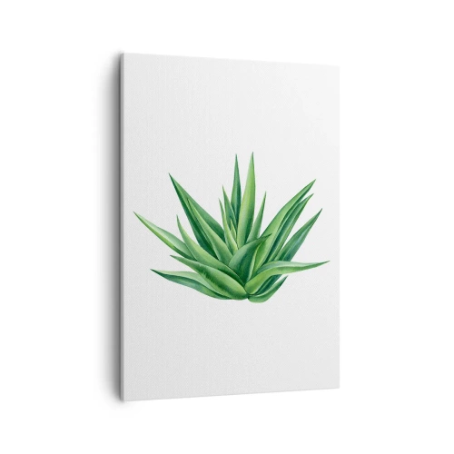Cuadro sobre lienzo - Impresión de Imagen - Una planta verde jugosa sobre un fondo blanco. - 50x70cm - Verde - fuerza - vida - Decoración de pared moderna para salón y dormitorio ARTTOR