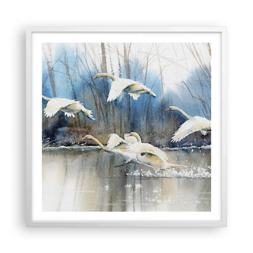 Póster en marco blanco - Como en un cuento de cisnes salvajes - 60x60 cm