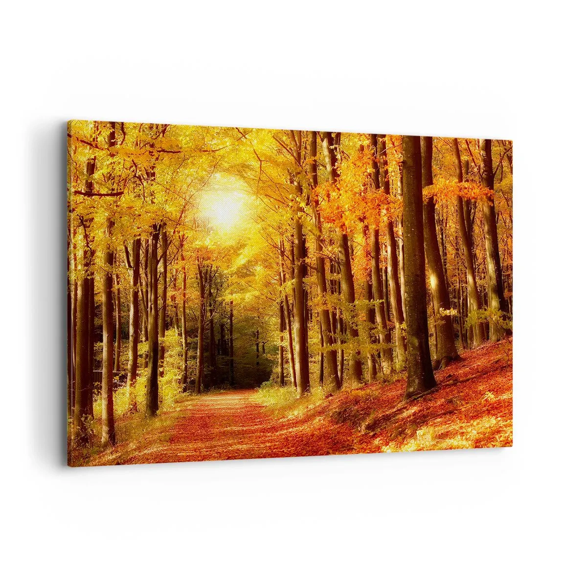Cuadro sobre lienzo - Impresión de Imagen - Bosque otoñal con rayos de sol brillando a través de los árboles. - 100x70cm - Un otoño dorado en una carretera forestal - Decoración de pared moderna para salón y dormitorio ARTTOR