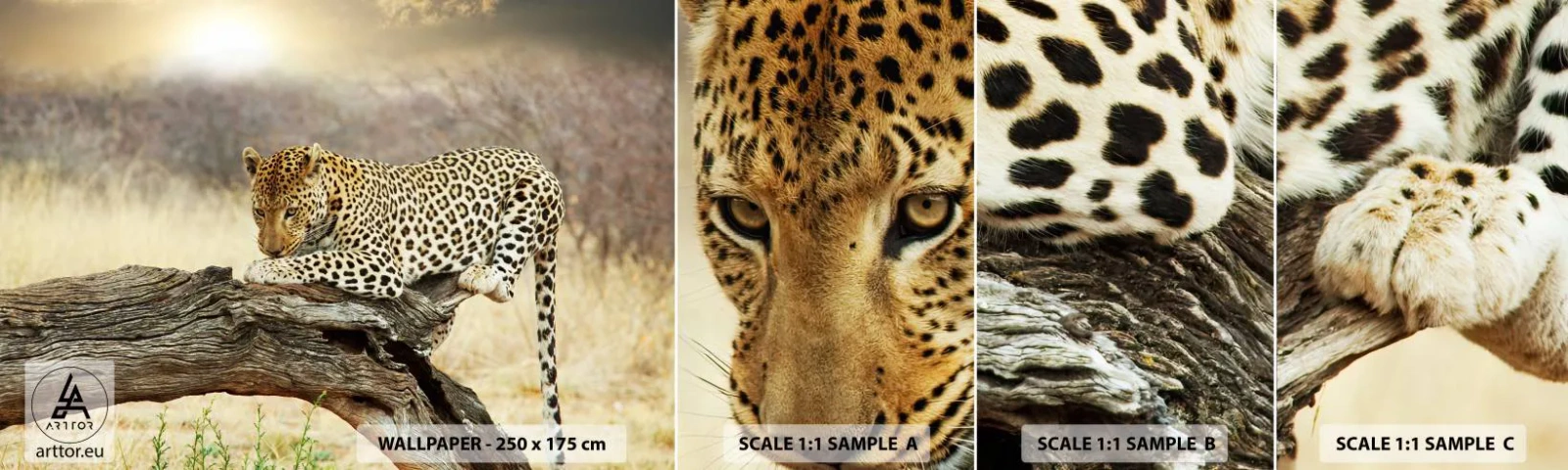 Muestra de fotomural autoadhesivo Deluxe Sticker - Voy por mi cuenta - animales, leopardo, África - 100x30 cm