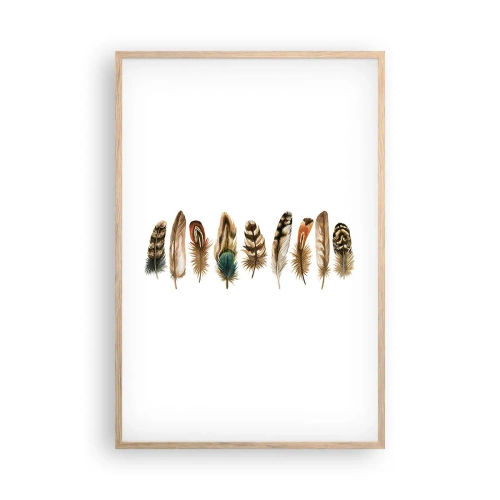 Póster en marco roble claro - Estudio de plumas - 61x91 cm