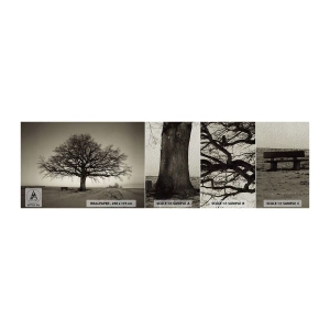 Muestra de fotomural Premium Sand - De aquí a la eternidad - Paisaje, Árbol, Naturaleza - 100x30 cm