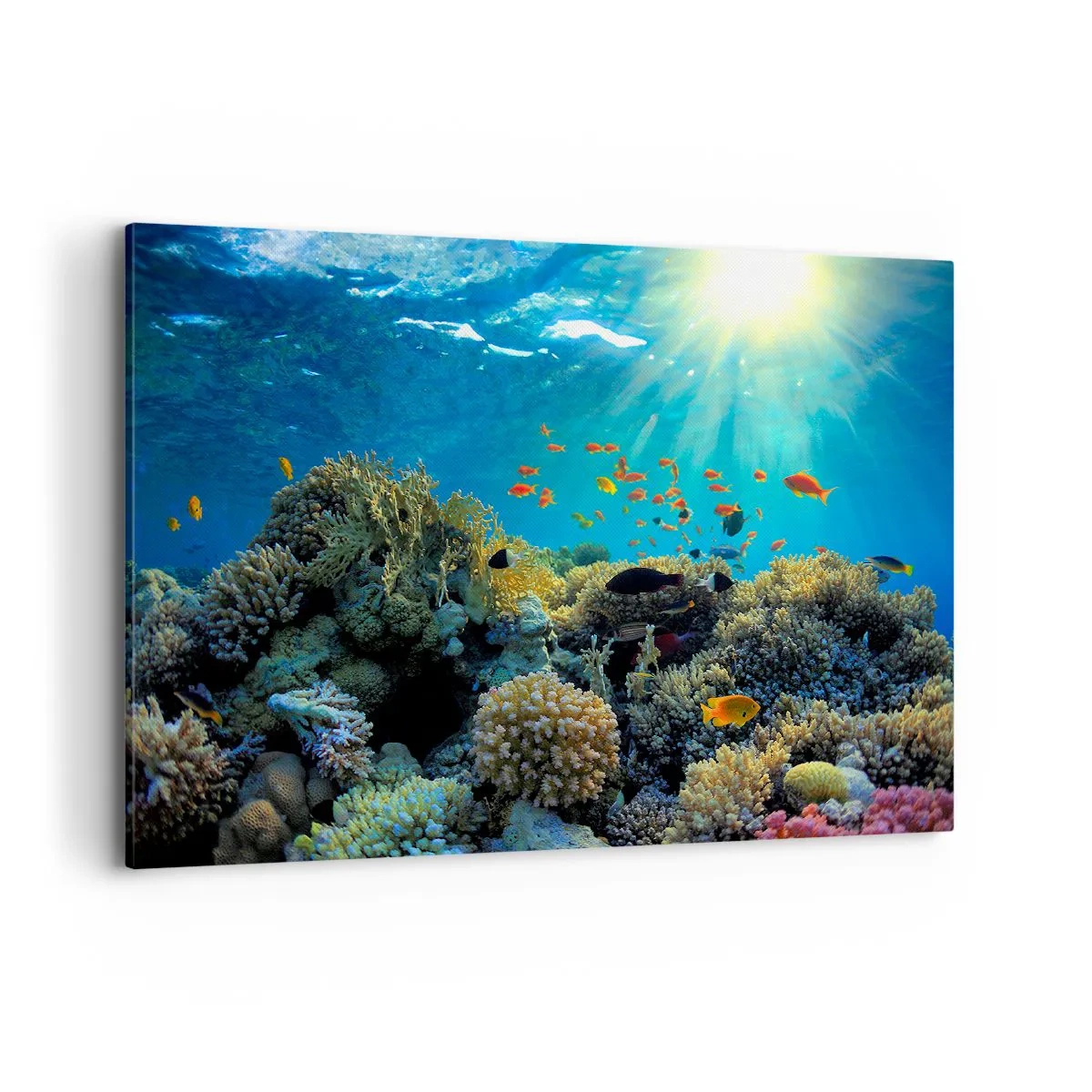 Cuadro sobre lienzo - Impresión de Imagen - Arrecife de coral con peces bajo los rayos del sol bajo el agua. - 100x70cm - Tesoros submarinos - Decoración de pared moderna para salón y dormitorio ARTTOR