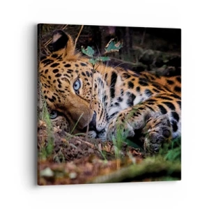 Cuadro sobre lienzo - Impresión de Imagen - Confía en mí - 40x40 cm