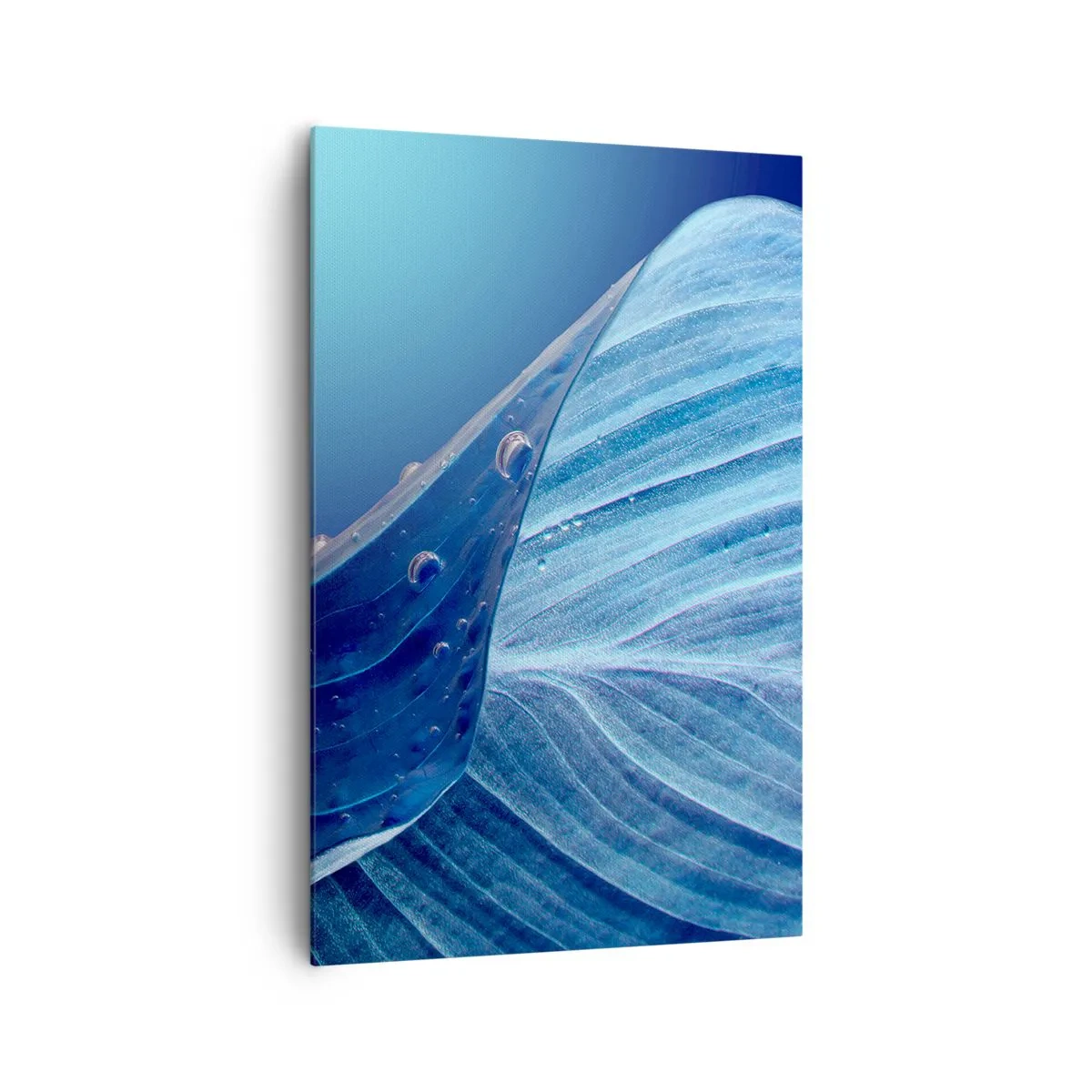 Cuadro sobre lienzo - Impresión de Imagen - Una hoja azul con gotas de agua visibles. - 80x120cm - Gotas ocultas de azul - Decoración de pared moderna para salón y dormitorio ARTTOR