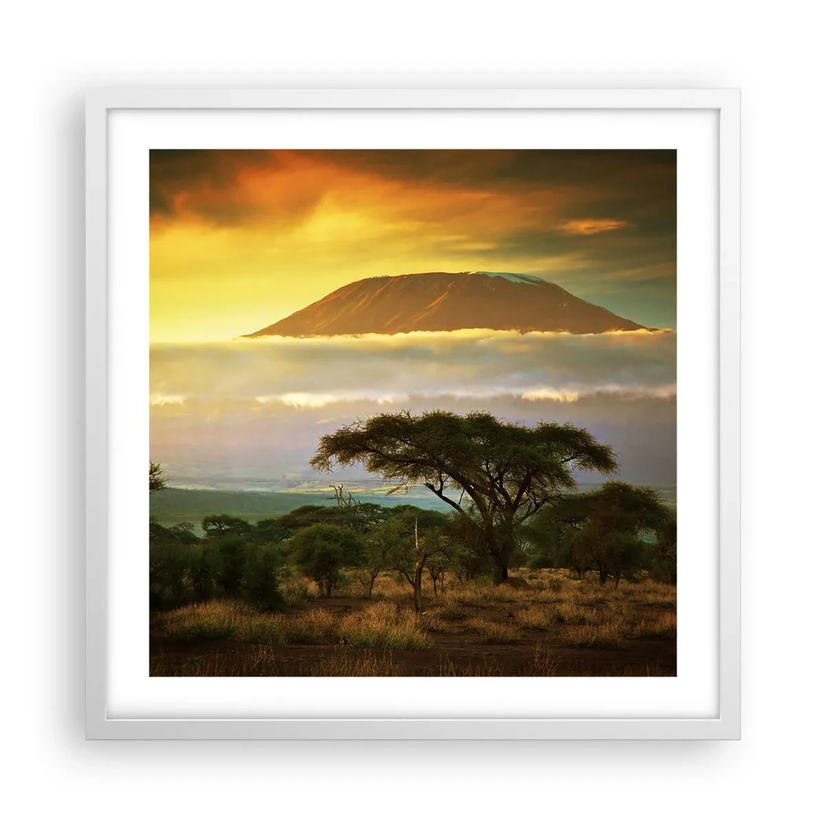 Póster en marco blanco - El sueño del viajero - 50x50 cm