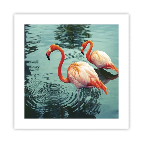 Póster - Estamos de moda - 40x40 cm