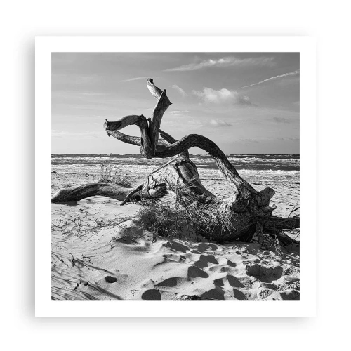 Póster - Escultura marina - 60x60 cm