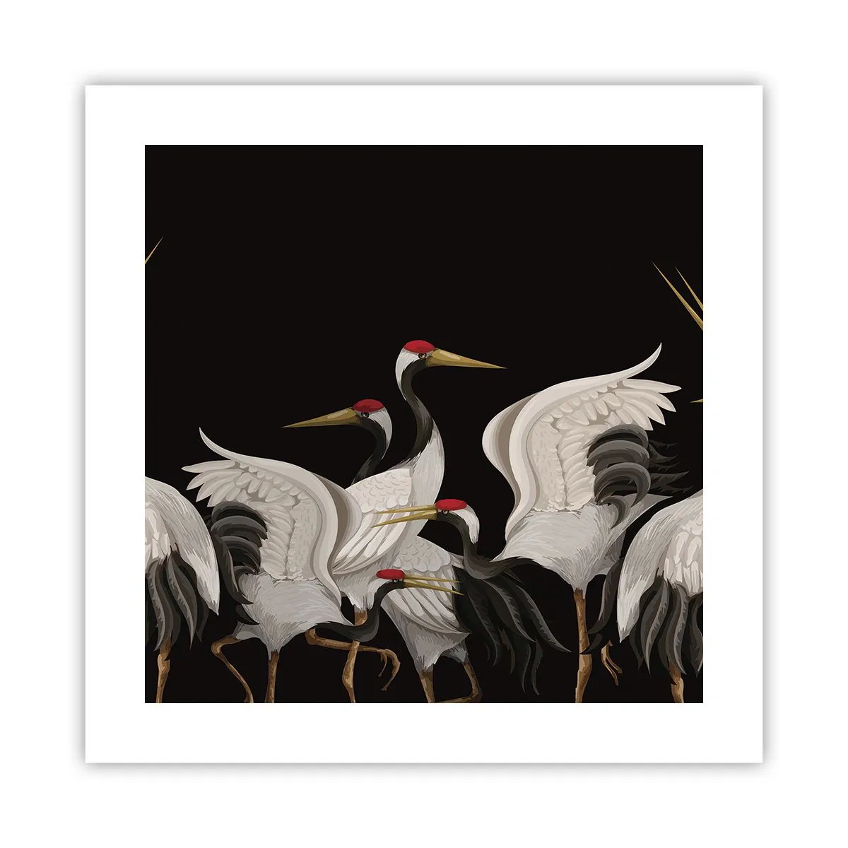 Póster - Asuntos de aves - 40x40 cm