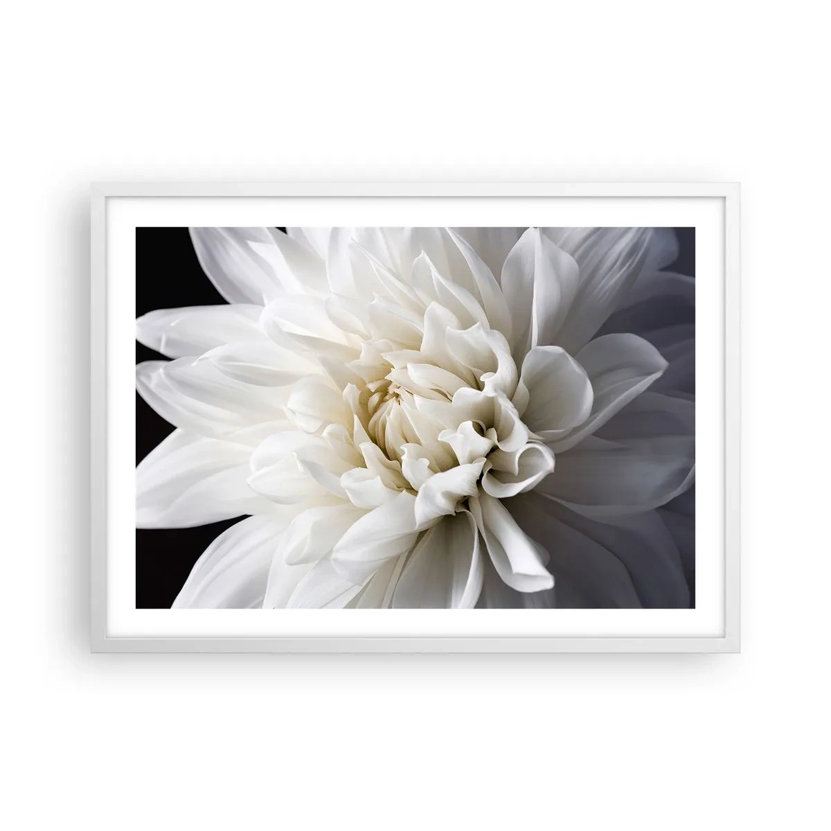 Póster en marco blanco - La novia de la mañana - 70x50 cm