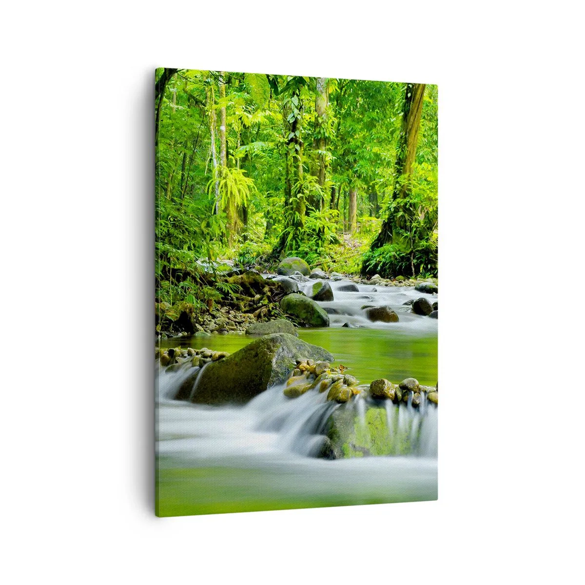 Cuadro sobre lienzo - Impresión de Imagen - Un arroyo en un exuberante bosque tropical. - 50x70cm - Flotar en un mar de verde - Decoración de pared moderna para salón y dormitorio ARTTOR