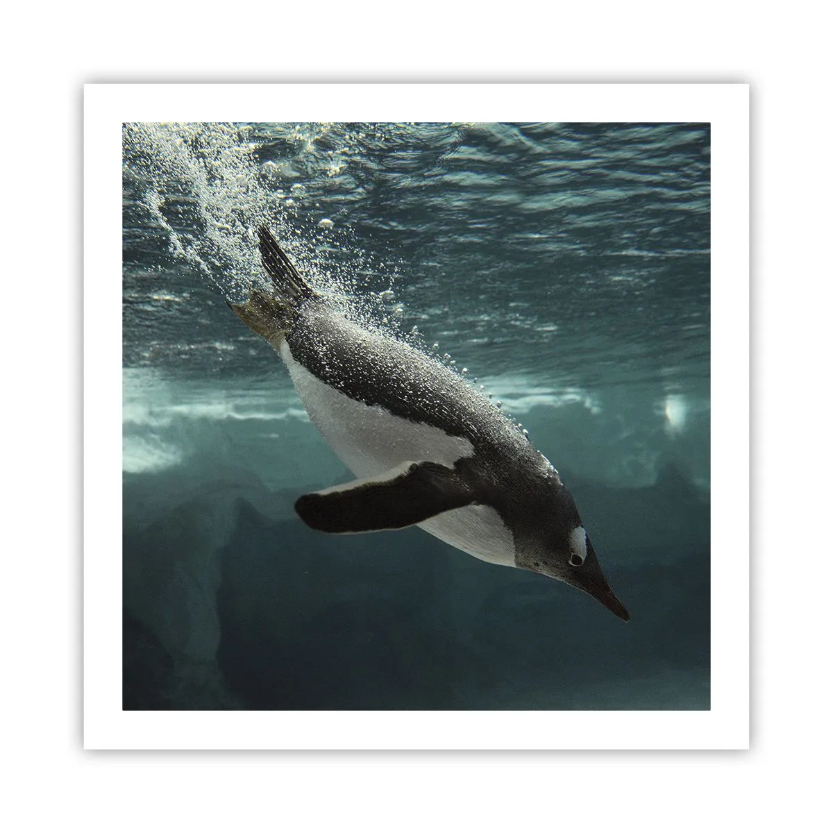 Póster - Bienvenido a mi mundo - 60x60 cm