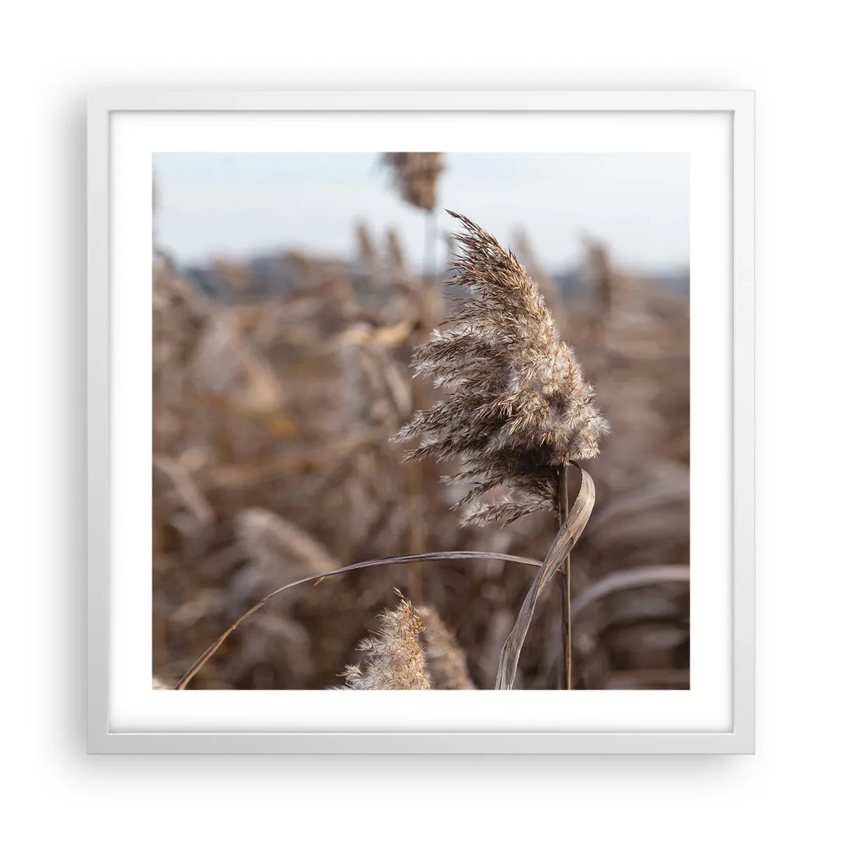 Póster en marco blanco - Es hora de volar con el viento - 50x50 cm