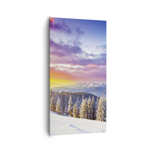 Cuadro sobre lienzo - Impresión de Imagen - Día blanco - 65x120 cm