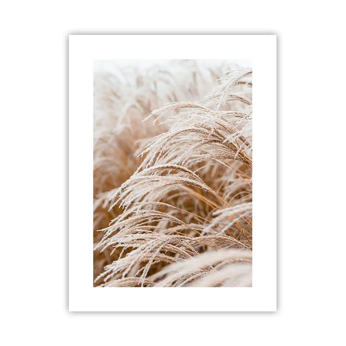 Póster - El sol de otoño - 30x40 cm