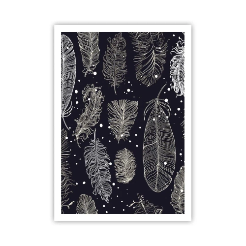 Póster - Encaje de plumas - 70x100 cm