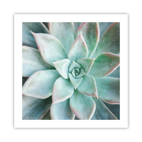 Póster - El corazón del desierto - 50x50 cm