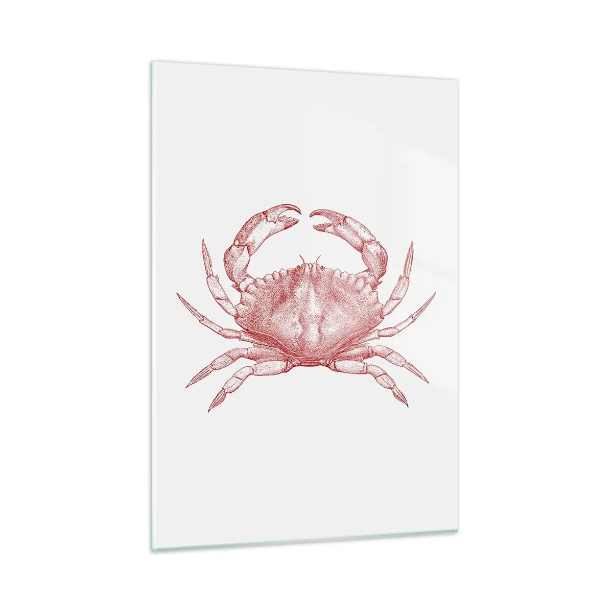 Cuadro sobre vidrio - Impresiones sobre Vidrio - Boceto de un cangrejo rojo sobre un fondo claro en estilo retro - 50x70cm - El explorador de las rocas - Decoración de pared moderna para salón y dormitorio ARTTOR