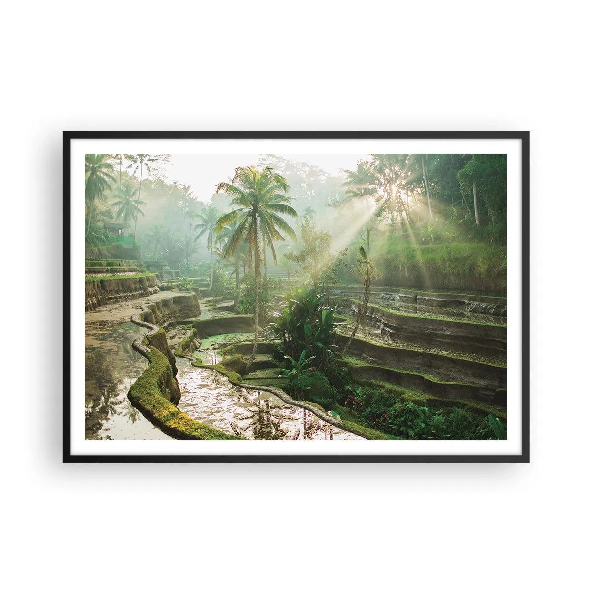 Póster en marco negro - Terrazas de arroz con palmeras bajo los rayos del sol - 100x70cm - Crecer bajo el sol - Decoración de pared moderna para salón y dormitorio ARTTOR