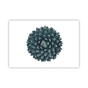 Póster - Estrella del desierto - 91x61 cm