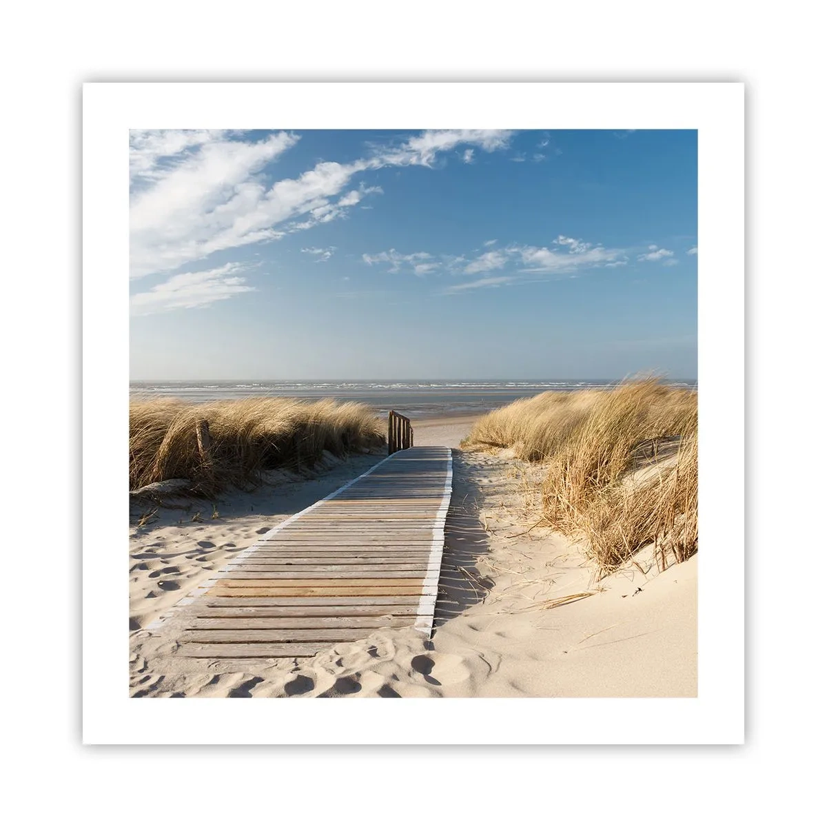 Póster - Más allá de la duna, en el susurro de la naturaleza - 50x50 cm