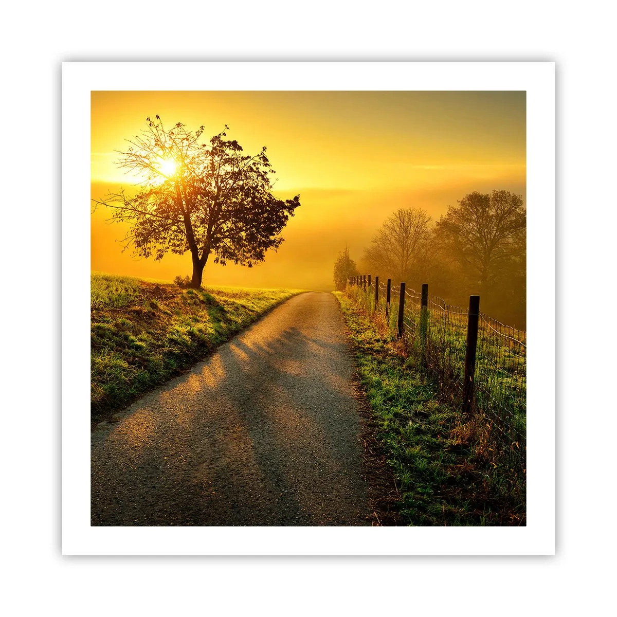 Póster - Tarde melosa - 60x60 cm