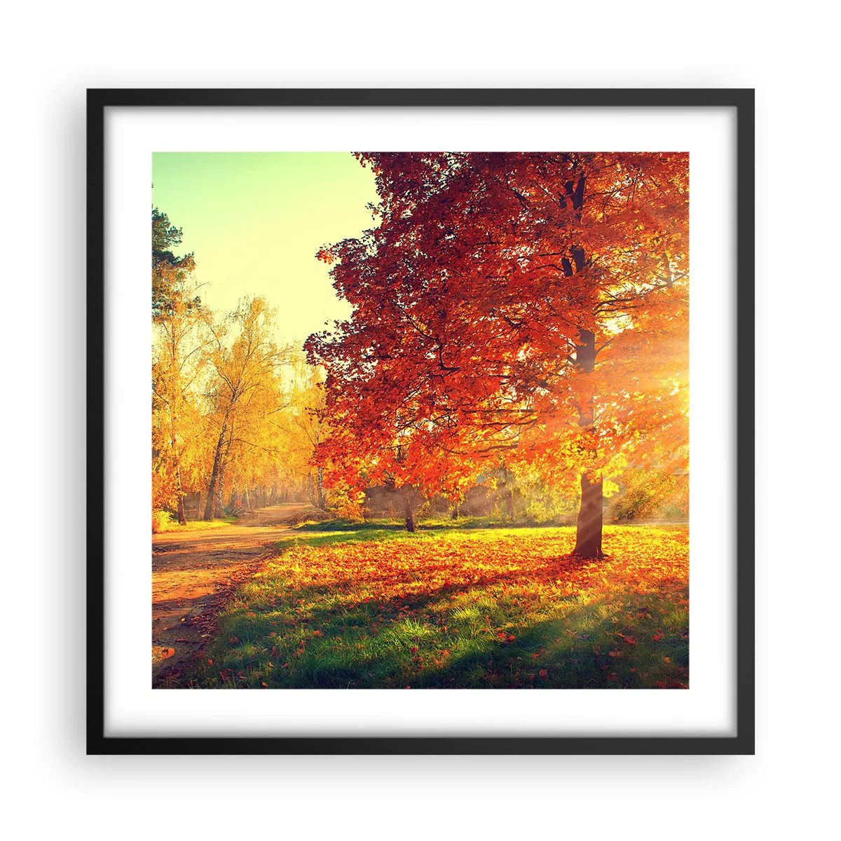 Póster en marco negro - El rojo es hermoso - 50x50 cm