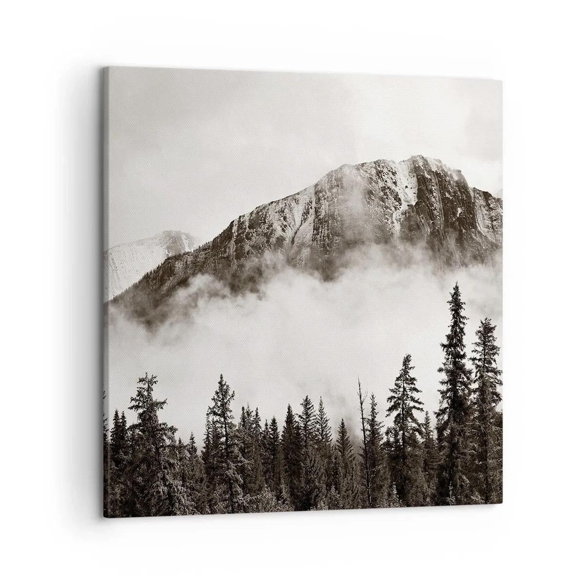 Cuadro sobre lienzo - Impresión de Imagen - Gobernante de granito - 50x50 cm