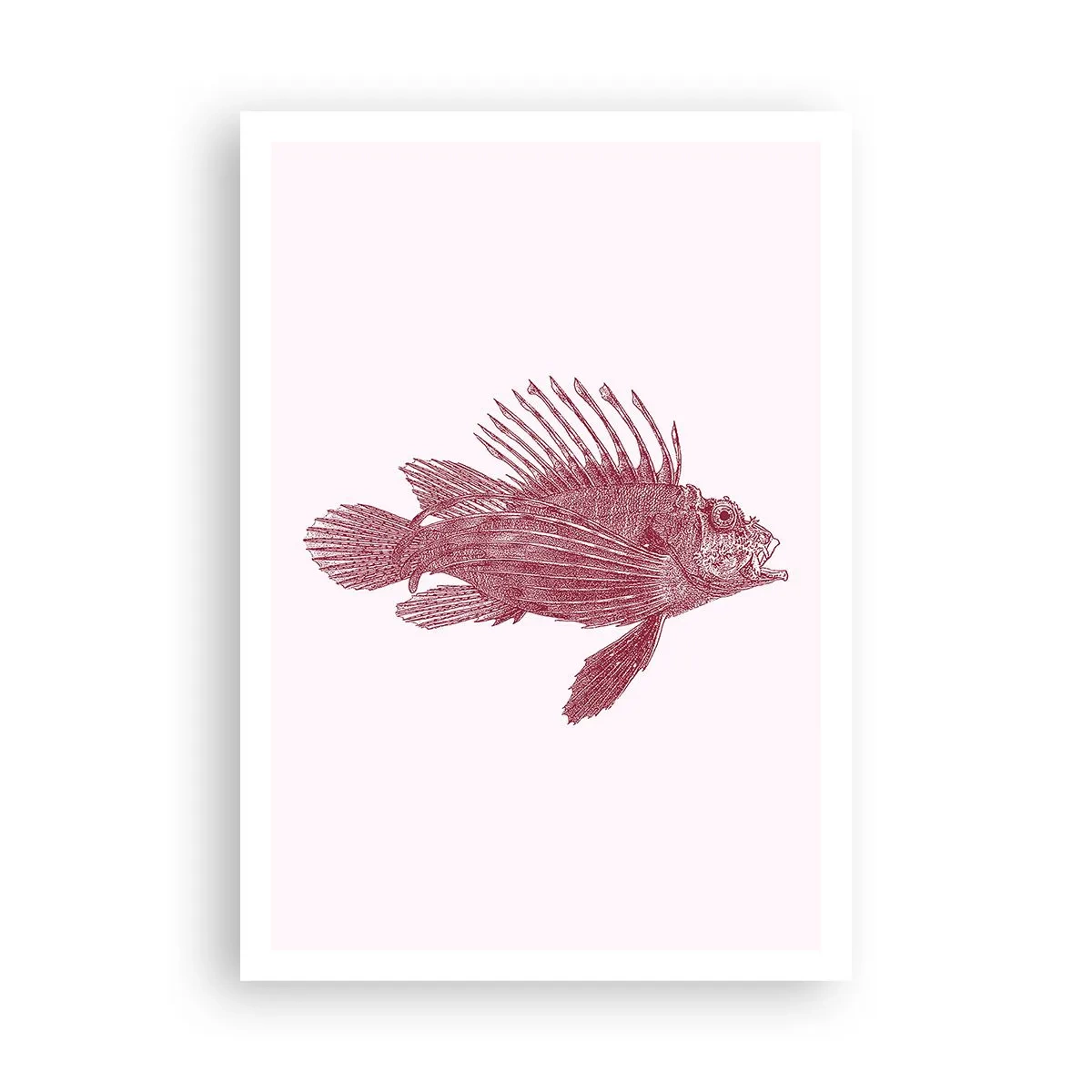 Póster - Un habitante de aguas exóticas - 70x100 cm