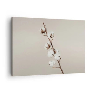 Cuadro sobre lienzo - Impresión de Imagen - Una ramita de algodón sobre un fondo beige. - 70x50cm - En la fuente de la suavidad - Decoración de pared moderna para salón y dormitorio ARTTOR