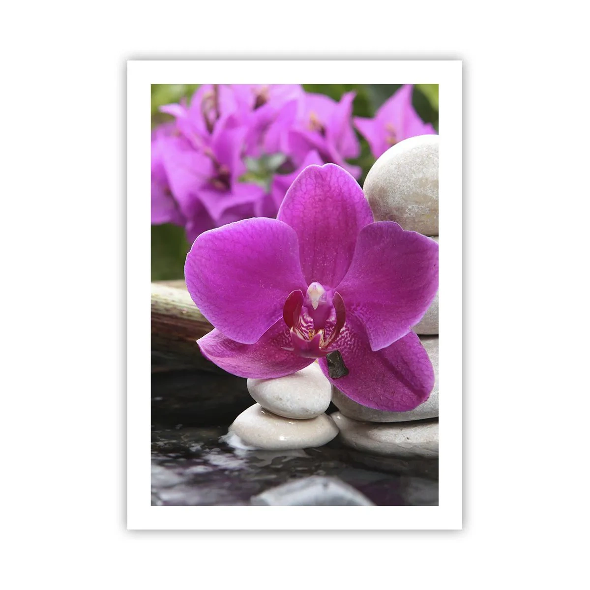 Póster - Una orquídea morada sobre un fondo de piedras en una disposición armoniosa. - 50x70cm - Ya estás descansando - Decoración de pared moderna para salón y dormitorio ARTTOR