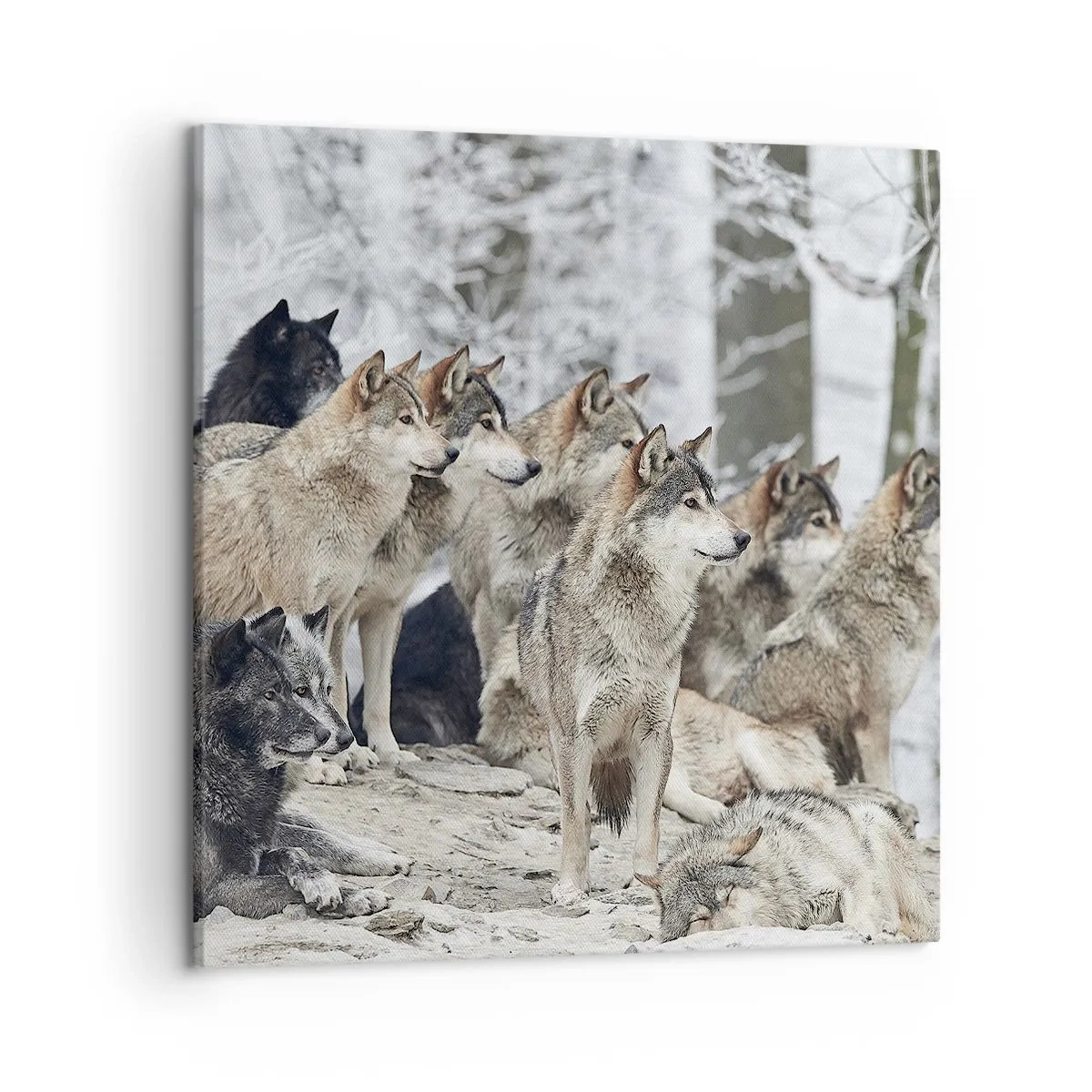 Cuadro sobre lienzo - Impresión de Imagen - Familiares y amigos - 50x50 cm