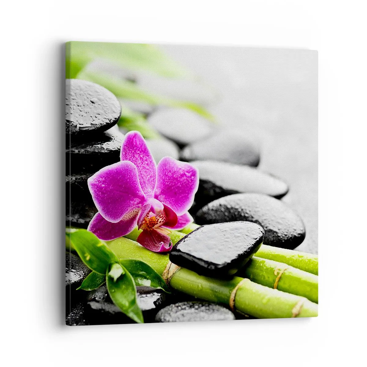 Cuadro sobre lienzo - Impresión de Imagen - En equilibrio pacífico - 40x40 cm