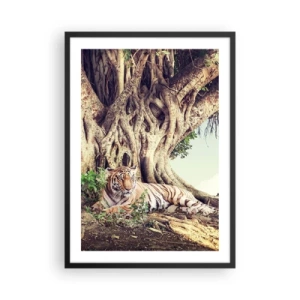 Póster en marco negro - Un tigre descansando bajo un enorme árbol con raíces enredadas. - 50x70cm - Una visión desde el Génesis - Decoración de pared moderna para salón y dormitorio ARTTOR