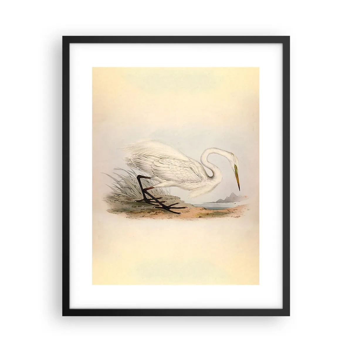 Póster en marco negro - Dama de los juncos - 40x50 cm