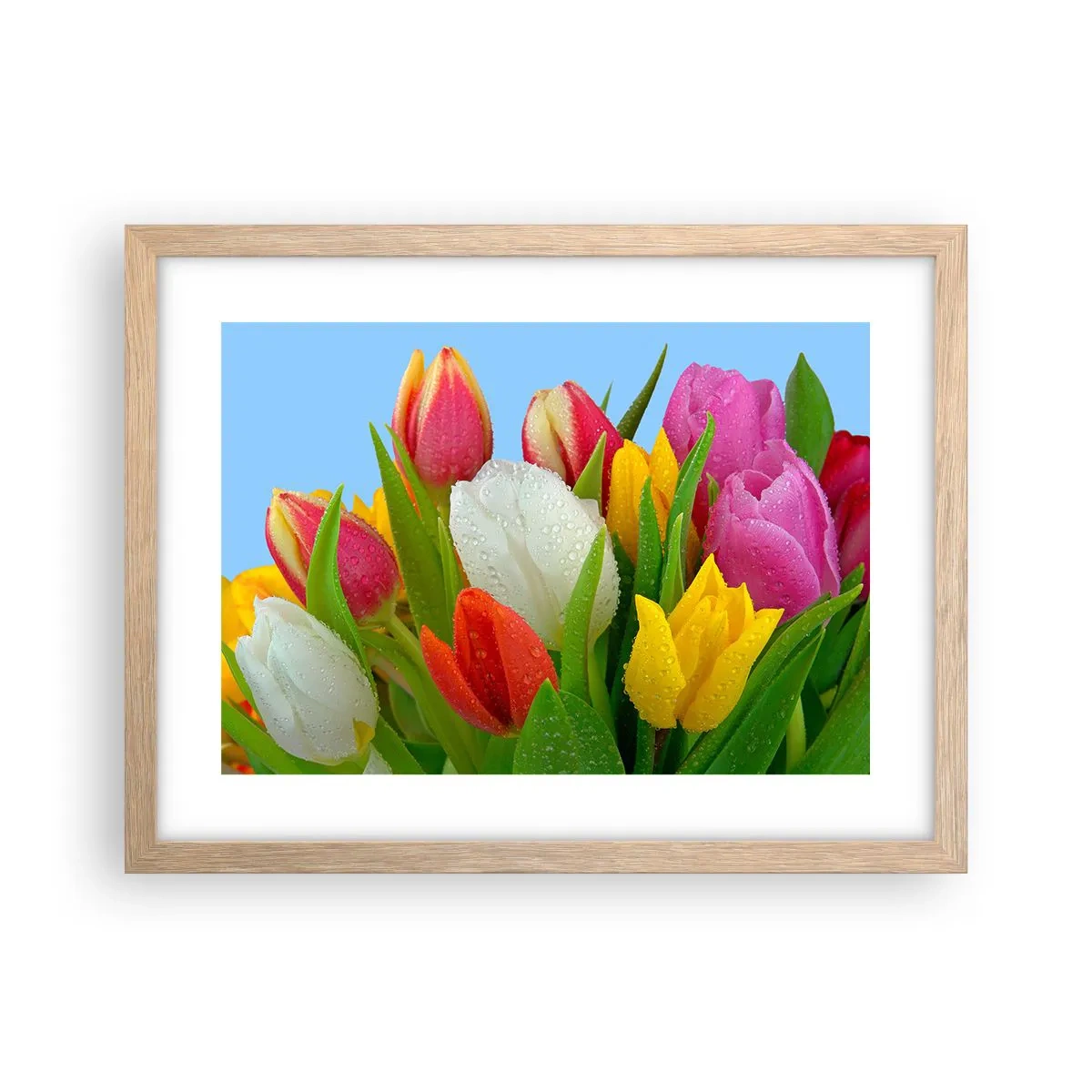Póster en marco roble claro - Arco iris floral en gotas de rocío - 40x30 cm