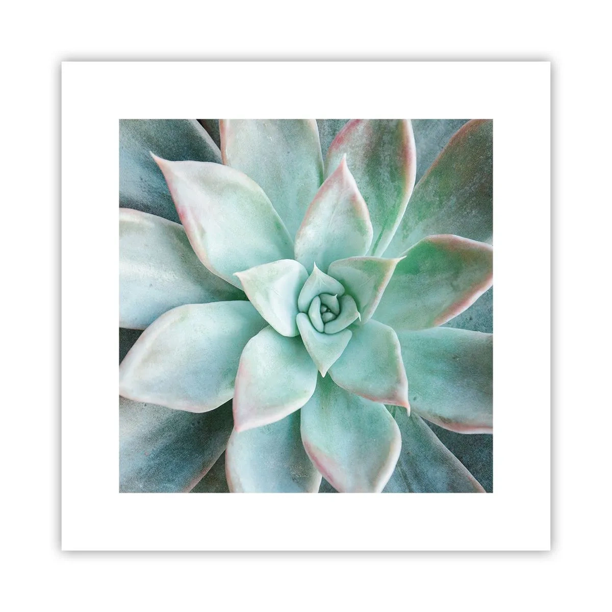 Póster - El corazón del desierto - 30x30 cm