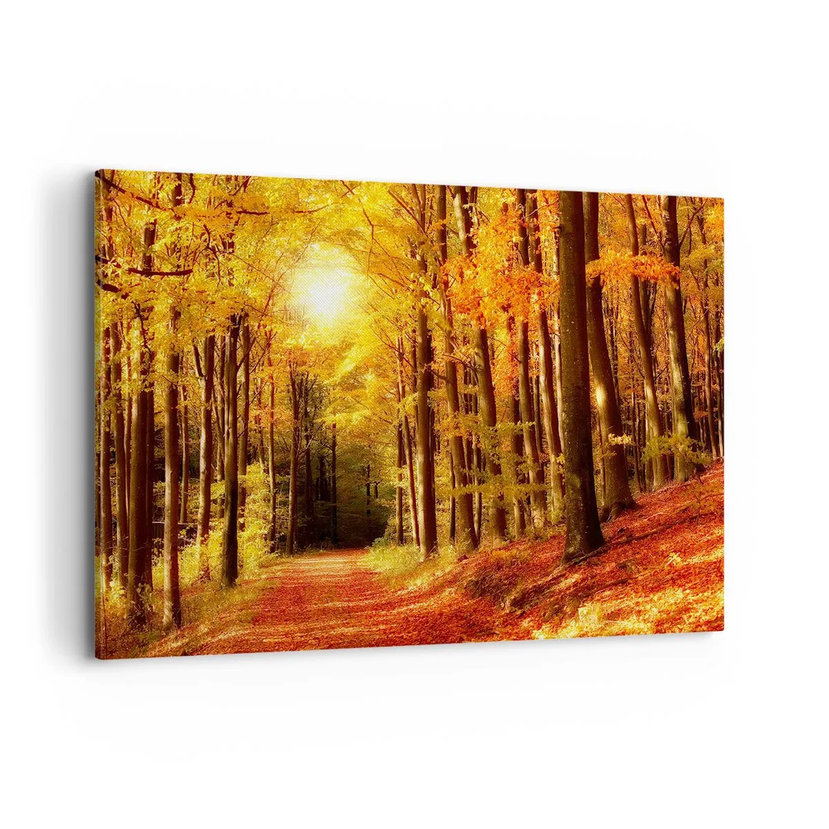 Cuadro sobre lienzo - Impresión de Imagen - Bosque otoñal con rayos de sol brillando a través de los árboles. - 120x80cm - Un otoño dorado en una carretera forestal - Decoración de pared moderna para salón y dormitorio ARTTOR