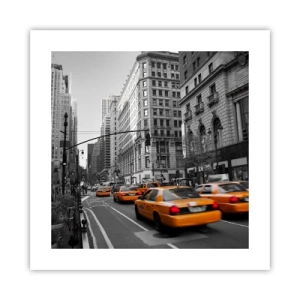 Póster - Los soles de la gran ciudad - 40x40 cm