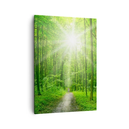 Cuadro sobre lienzo - Impresión de Imagen - Camino en el bosque con rayos de sol. - 50x70cm - Catedral verde - Decoración de pared moderna para salón y dormitorio ARTTOR