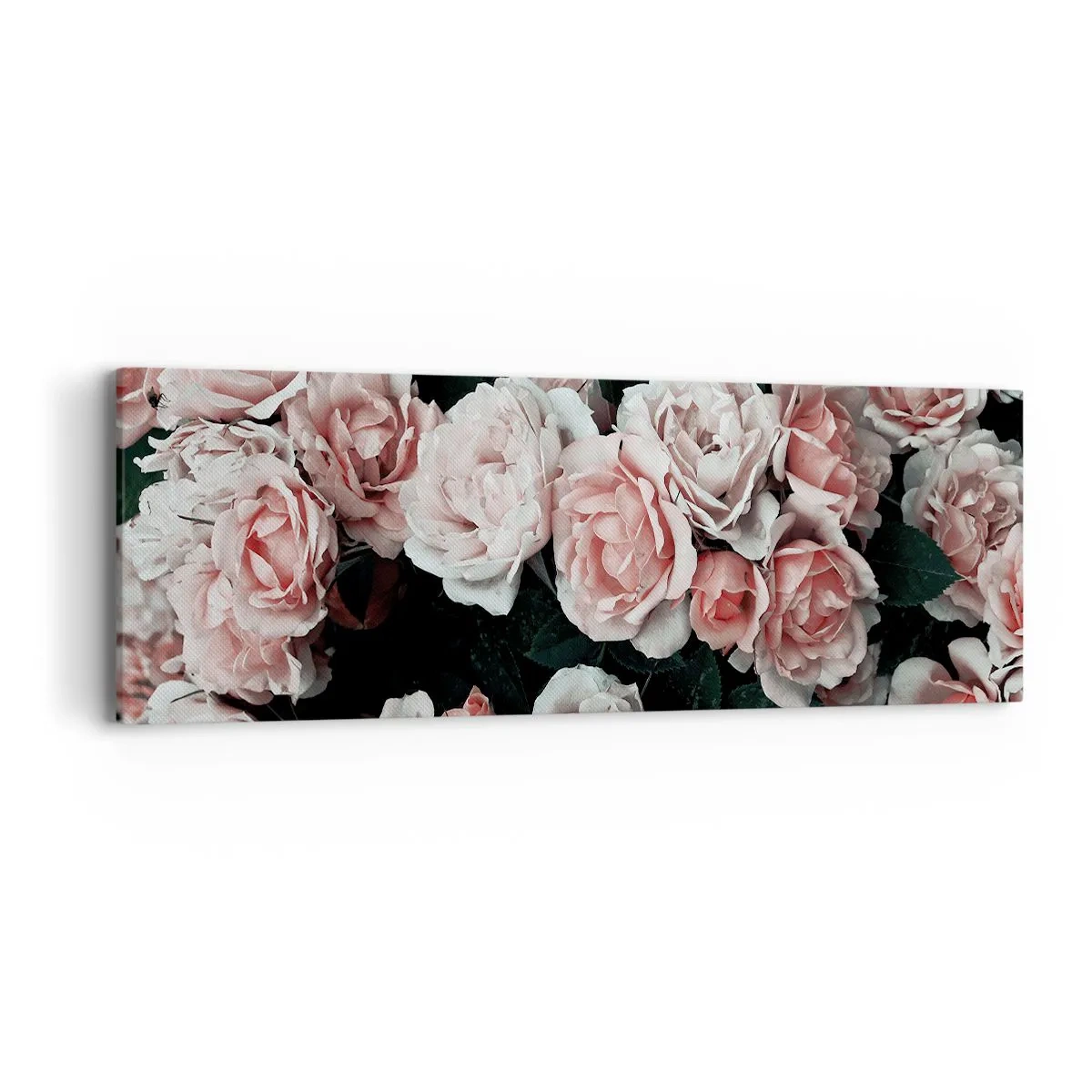 Cuadro sobre lienzo - Impresión de Imagen - Conjunto de rosas - 90x30 cm
